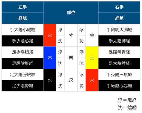 祖脈|【東洋医学】ゴロ合わせで「脈診でわかる脈の種類」を覚えよう